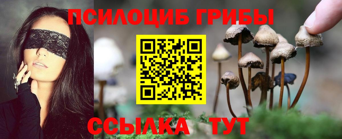 продажа наркотиков  Вход с VPN  Бийск  Галлюциногенные грибы Psilocybine cubensis 